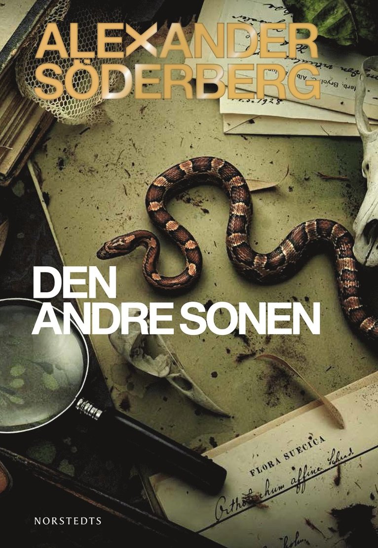Alexander Söderberg - Den andre sonen, E-bok