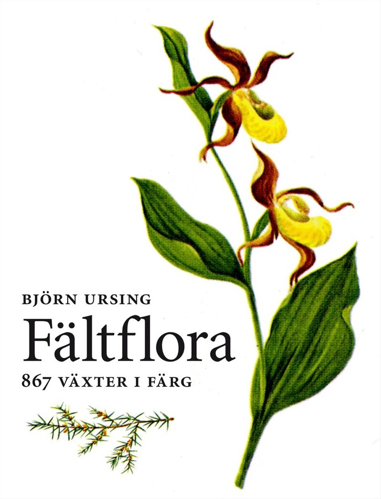 Björn Ursing - Fältflora : kärlväxter, Häftad