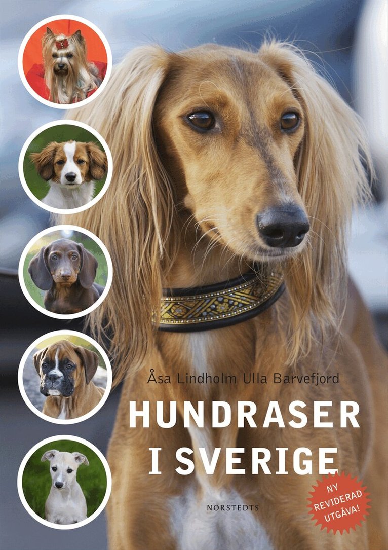 Åsa Lindholm, Ulla Barvefjord - Hundraser i Sverige, Kartonnage