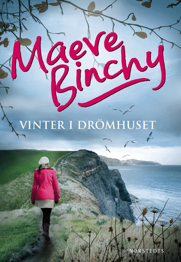 Maeve Binchy - Vinter i drömhuset, Inbunden