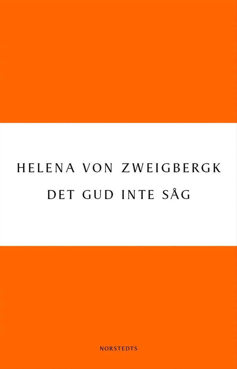 Helena von Zweigbergk - Det Gud inte såg, E-bok