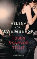 Tusen skärvor tillit