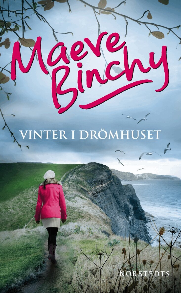 Maeve Binchy - Vinter i drömhuset, Pocket