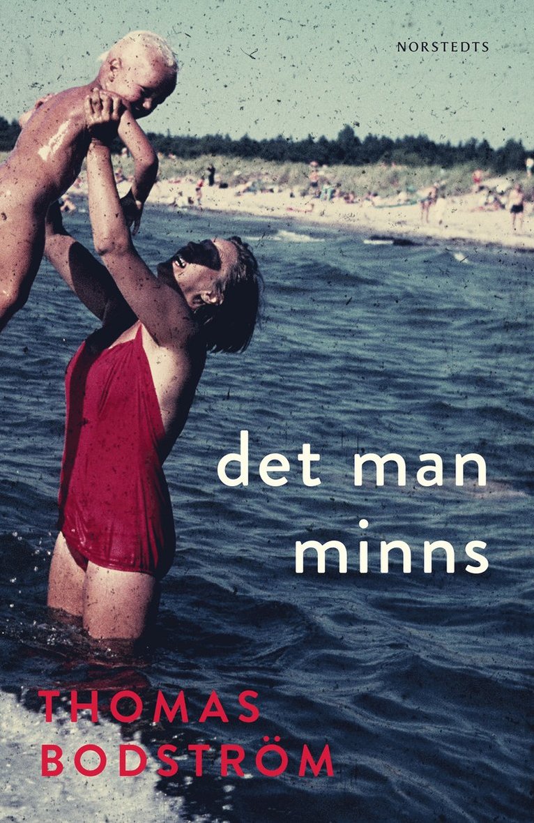 Thomas Bodström - Det man minns, E-bok