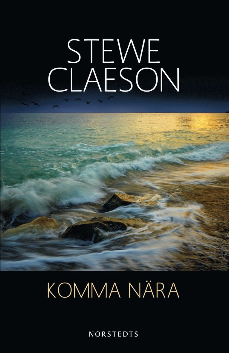 Stewe Claeson - Komma nära, E-bok
