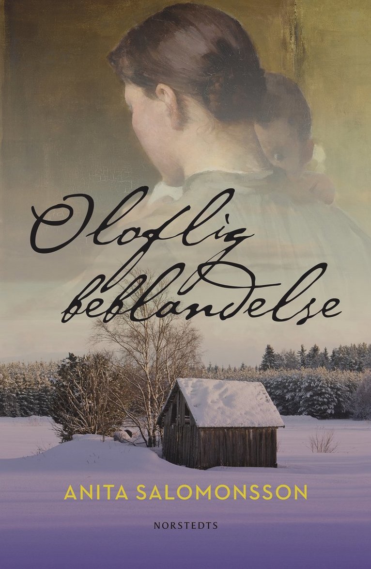 Anita Salomonsson - Oloflig beblandelse, E-bok