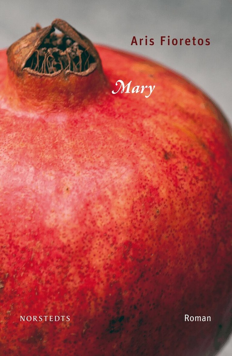 Aris Fioretos - Mary, E-bok