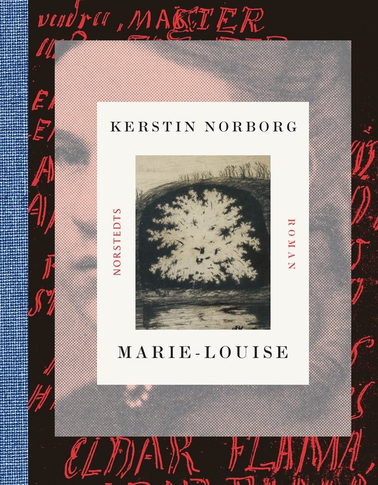 Kerstin Norborg - Marie-Louise, E-bok