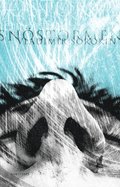 Snöstormen
