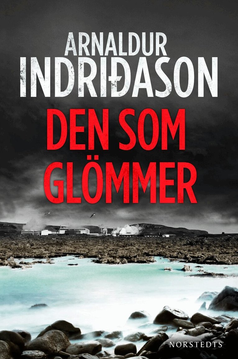 Arnaldur Indridason - Den som glömmer, Inbunden