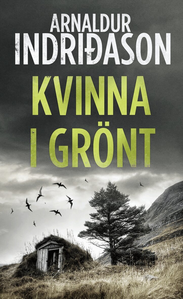 Arnaldur Indridason - Kvinna i grönt, Pocket