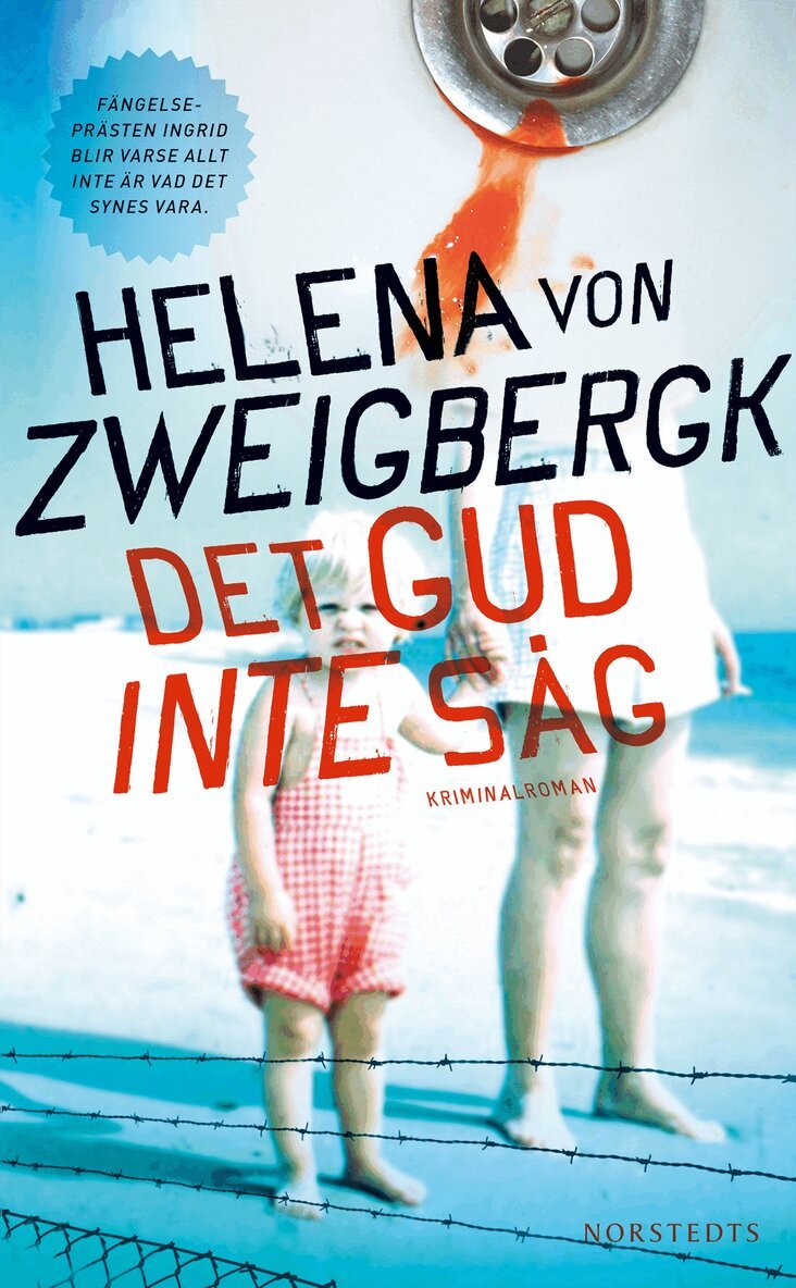 Helena von Zweigbergk - Det gud inte såg, Pocket