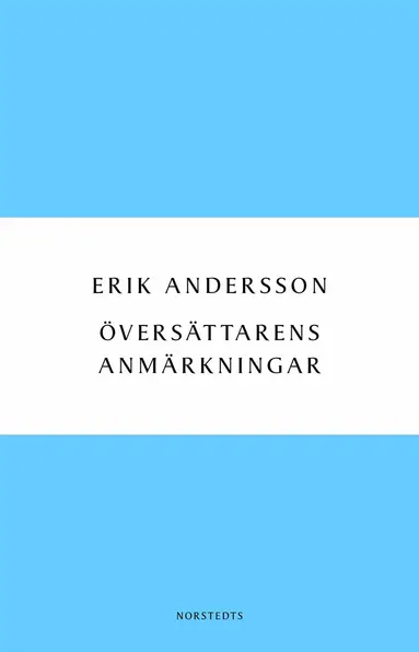 Erik Andersson - Översättarens anmärkningar : dagbok från arbetet med Ringarnas herre, Häftad