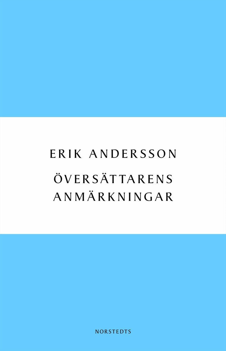 Erik Andersson - Översättarens anmärkningar : dagbok från arbetet med Ringarnas herre, E-bok