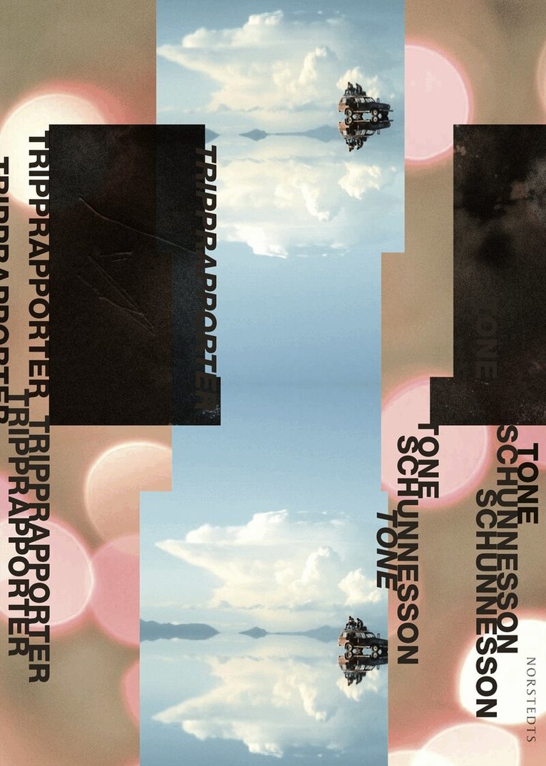 Tone Schunnesson - Tripprapporter, E-bok