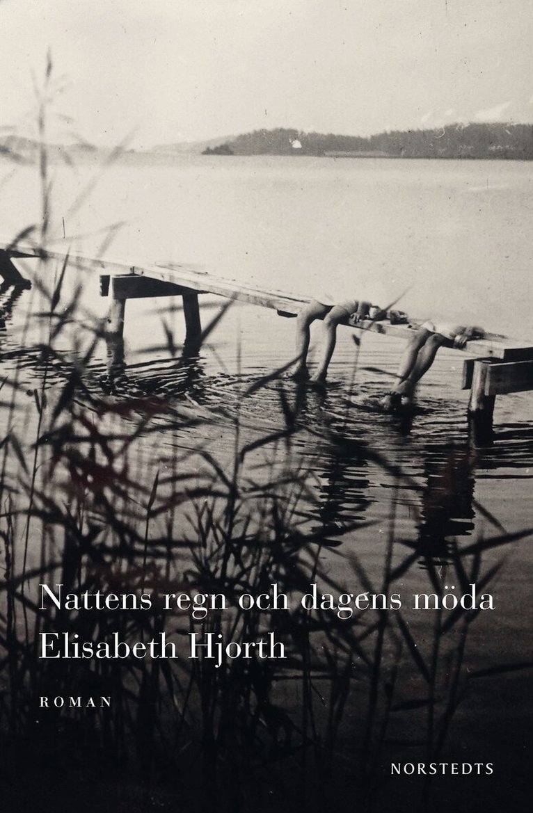 Elisabeth Hjorth - Nattens regn och dagens möda, E-bok