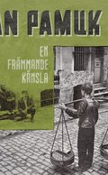 En frmmande knsla