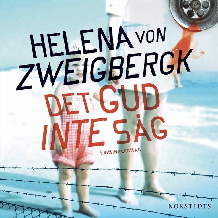 Helena von Zweigbergk - Det gud inte såg, Ljudbok