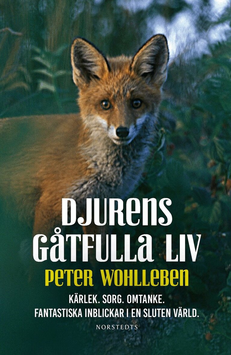 Peter Wohlleben - Djurens gåtfulla liv - Kärlek. Sorg. Omtanke : fantastiska inblickar i en sluten värld, Inbunden