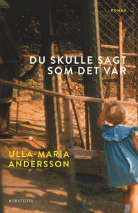 e-Bok Du skulle sagt som det var