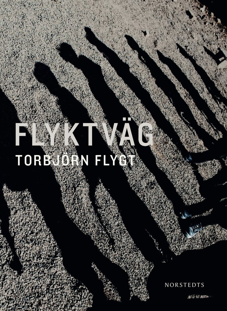 Torbjörn Flygt - Flyktväg, E-bok