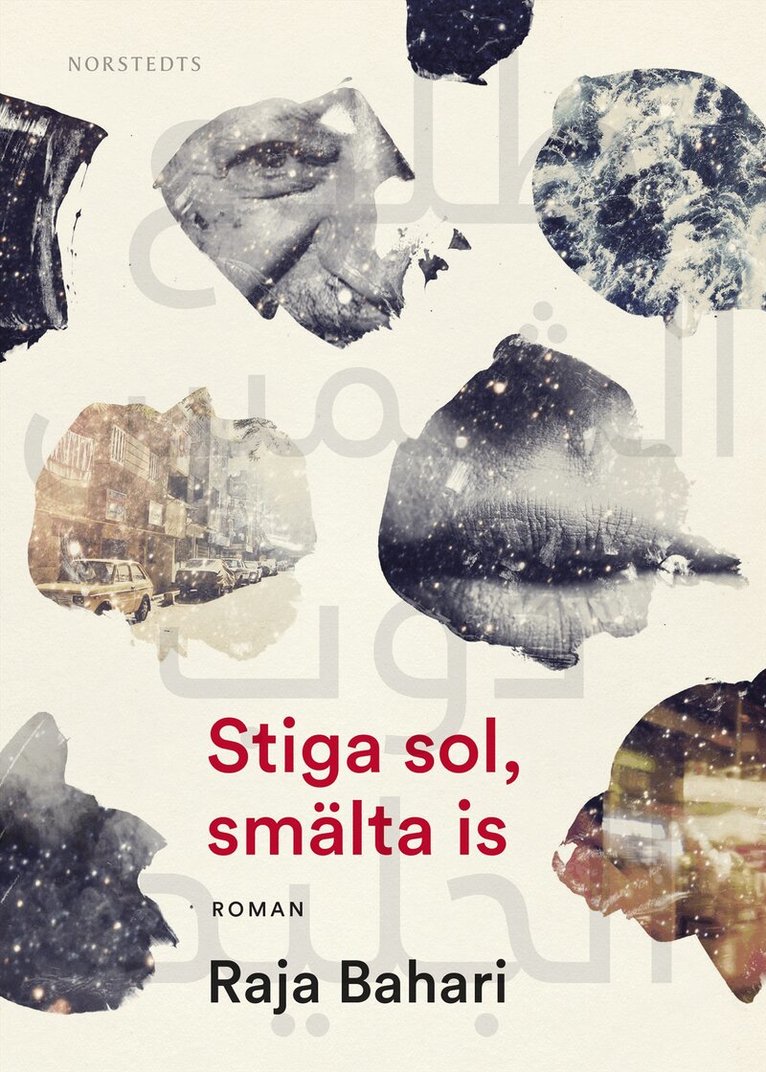 Raja Bahari - Stiga sol, smälta is, E-bok