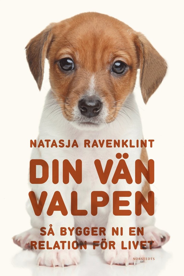Natasja Ravenklint - Din vän valpen : så bygger ni en relation för livet, E-bok
