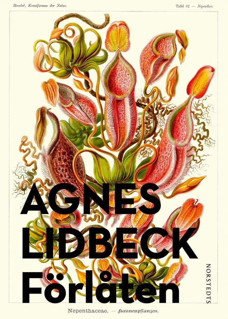 Agnes Lidbeck - Förlåten, E-bok