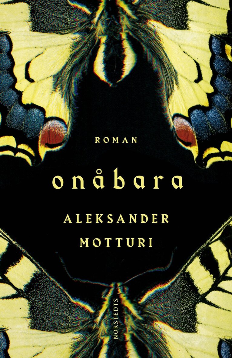 Aleksander Motturi - Onåbara, E-bok