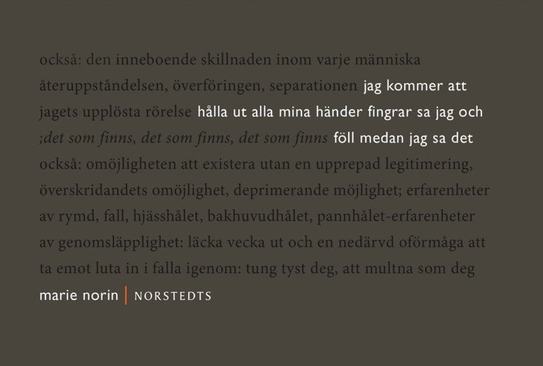 Marie Norin - jag kommer att hålla ut alla mina händer fingrar sa jag : och föll medan jag sa det, E-bok