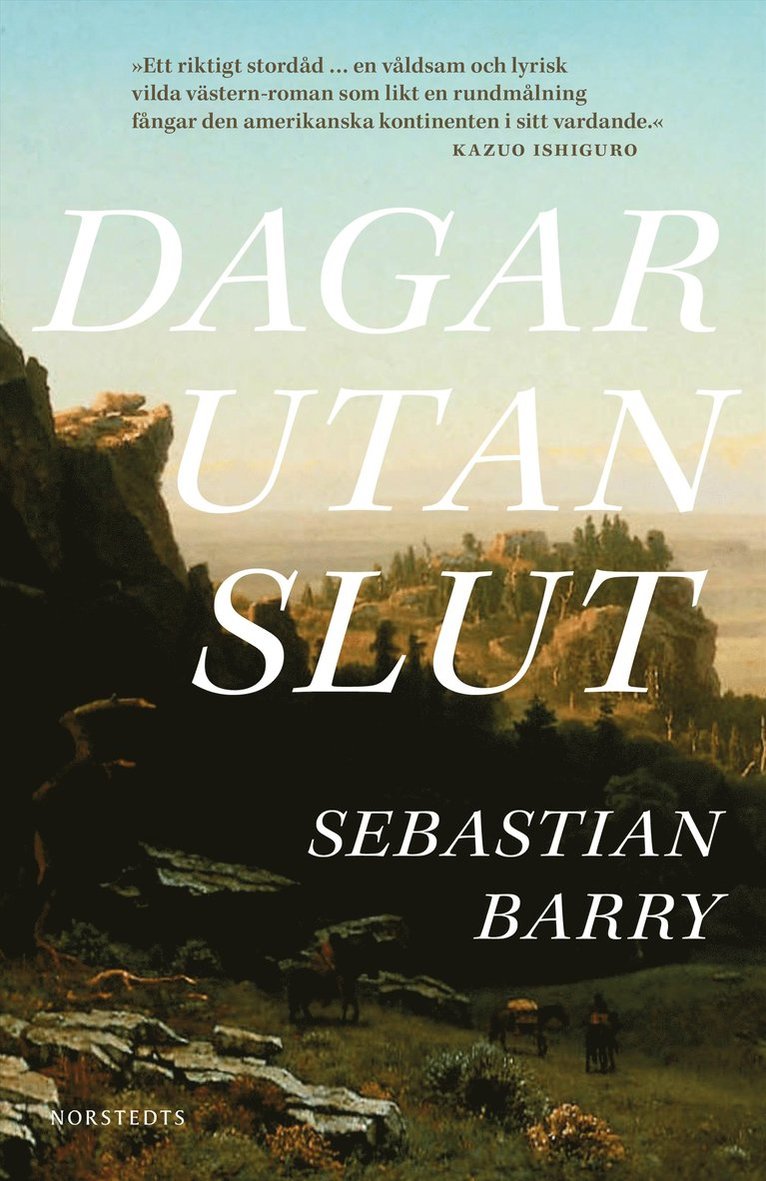 Sebastian Barry - Dagar utan slut, E-bok