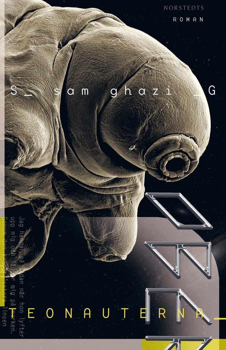 Sam Ghazi - Teonauterna, Inbunden