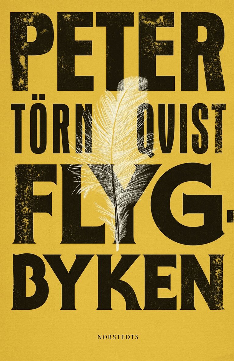 Peter Törnqvist - Flygbyken : och 83 andra lämningar, E-bok