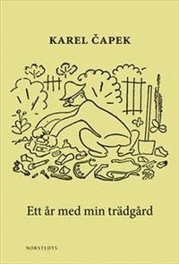 Ett år med min trädgård