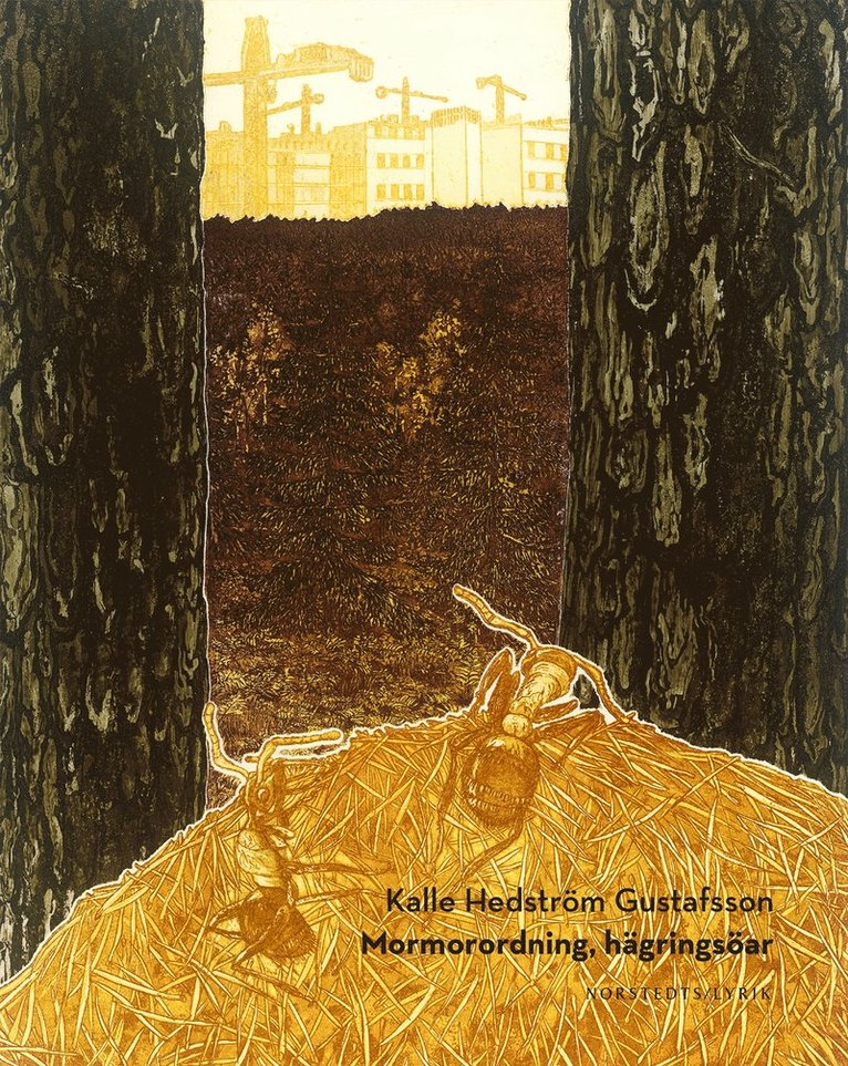 Kalle Hedström Gustafsson - Mormorordning, hägringsöar, E-bok