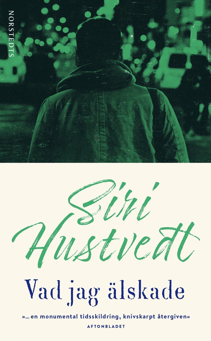 Siri Hustvedt - Vad jag älskade, Pocket