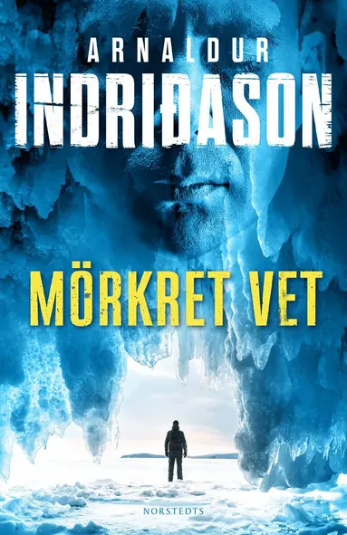 Arnaldur Indridason - Mörkret vet, E-bok