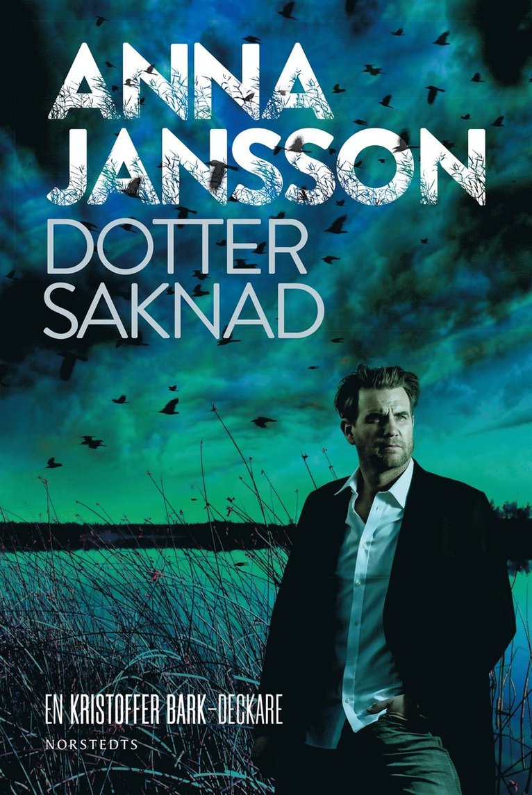 Anna Jansson - Dotter saknad, E-bok