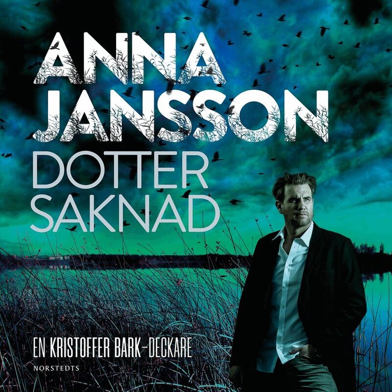 Anna Jansson - Dotter saknad, Ljudbok