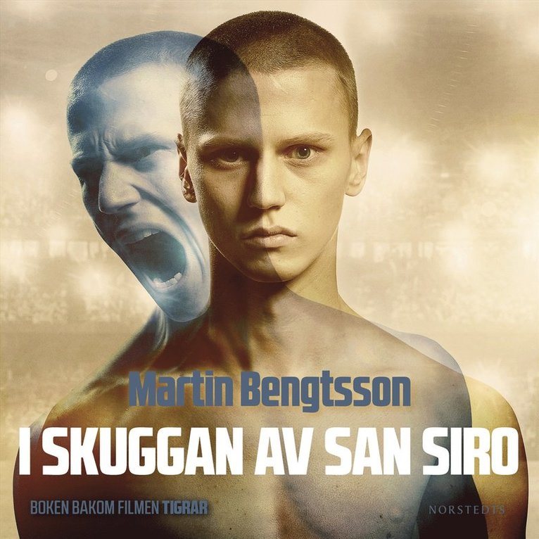 Martin Bengtsson - I skuggan av San Siro : från proffsdröm till mardröm, Ljudbok