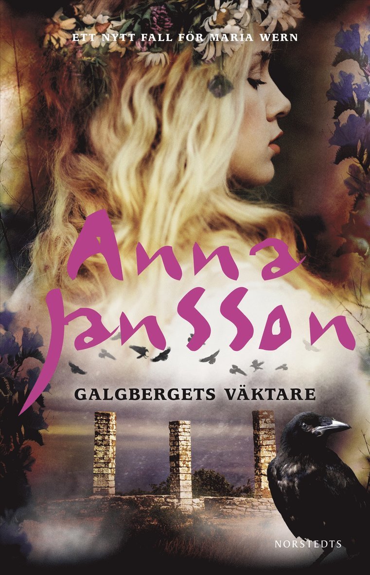 Anna Jansson - Galgbergets väktare, E-bok