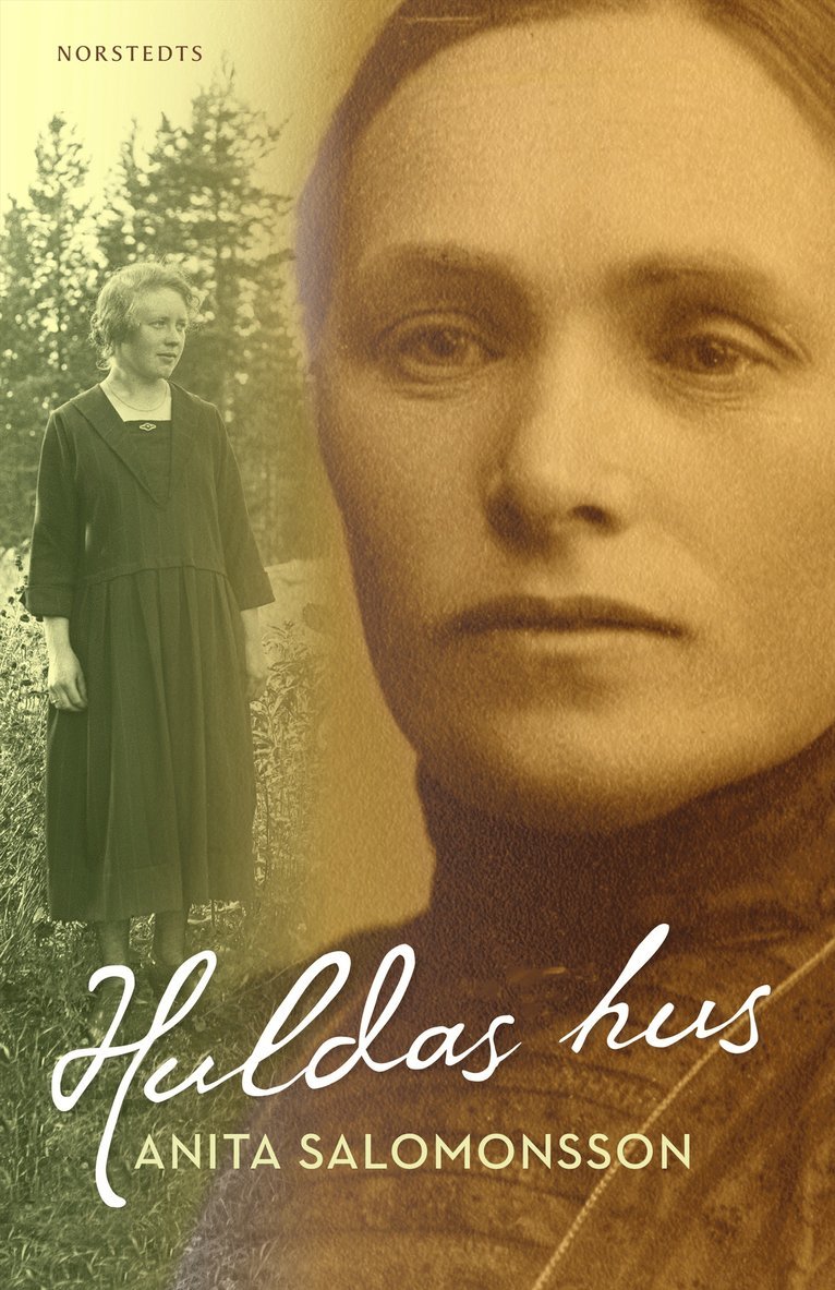 Anita Salomonsson - Huldas hus, E-bok