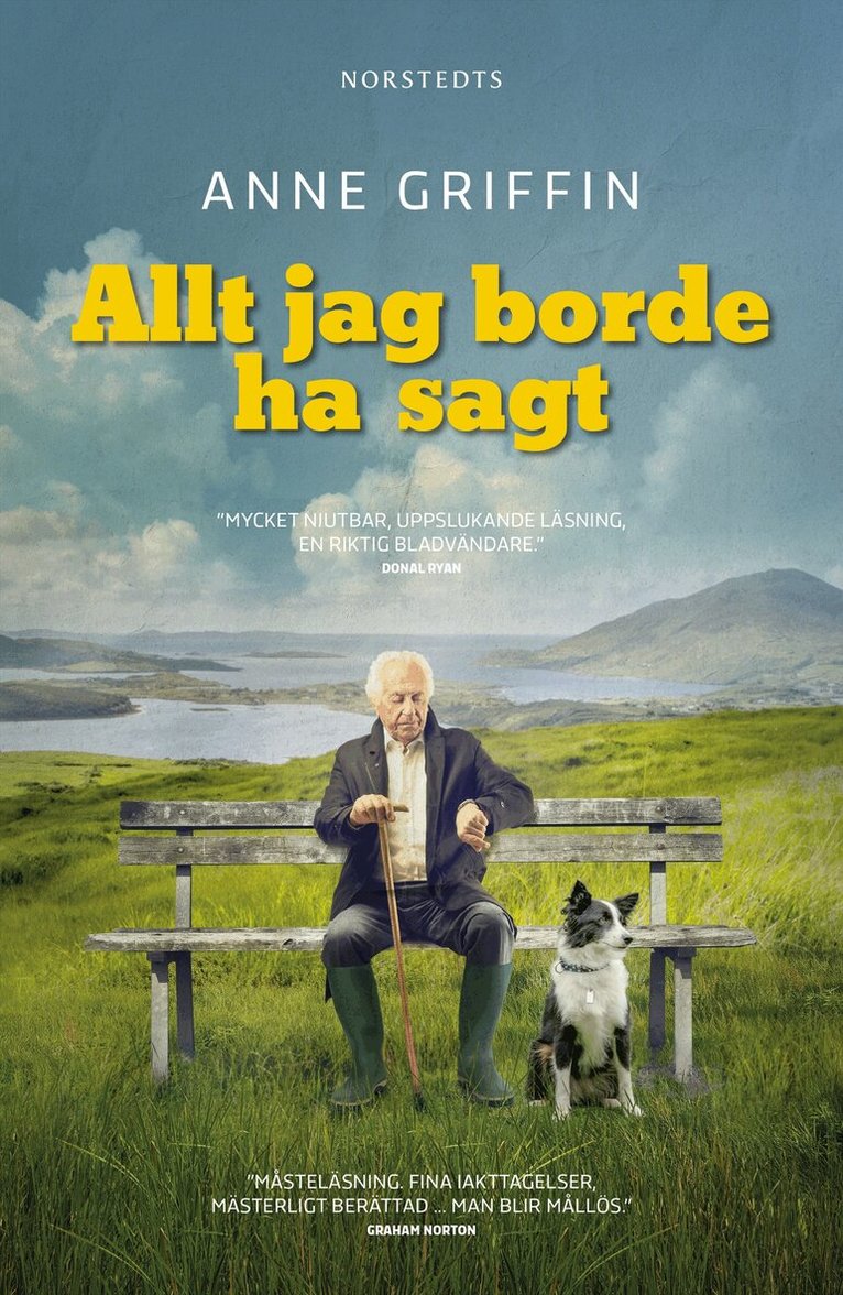 Anne Griffin - Allt jag borde ha sagt, E-bok. Tillgänglighet: Lägg i varukorg
