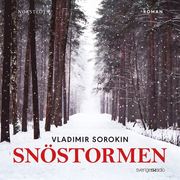 Snöstormen