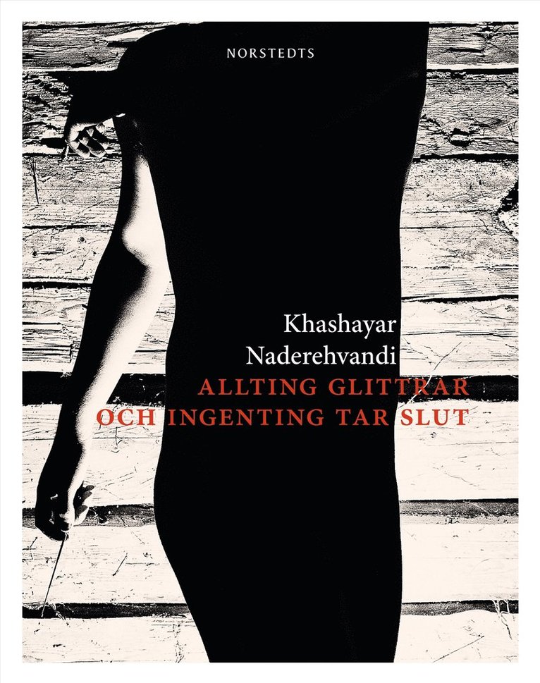 Khashayar Naderehvandi - Allting glittrar och ingenting tar slut, E-bok