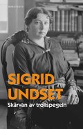 Skärvan av trollspegeln