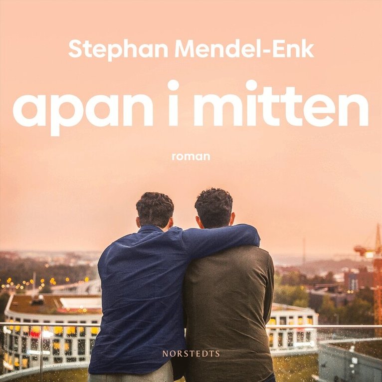 Stephan Mendel-Enk - Apan i mitten, Ljudbok