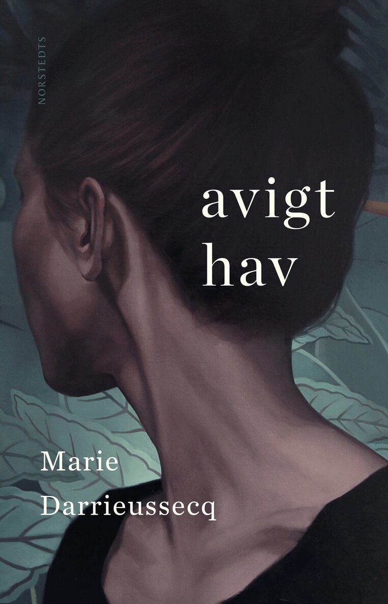 Marie Darrieussecq - Avigt hav, E-bok