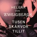 Tusen skärvor tillit
