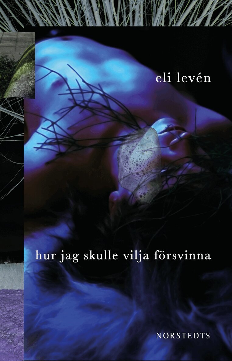 Eli Levén - Hur jag skulle vilja försvinna, E-bok